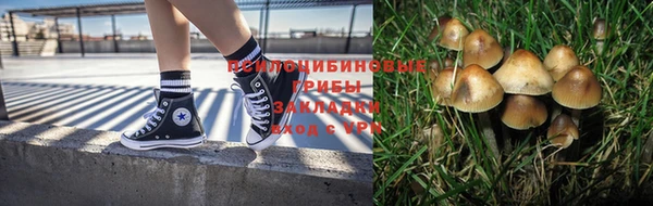 a pvp Балабаново