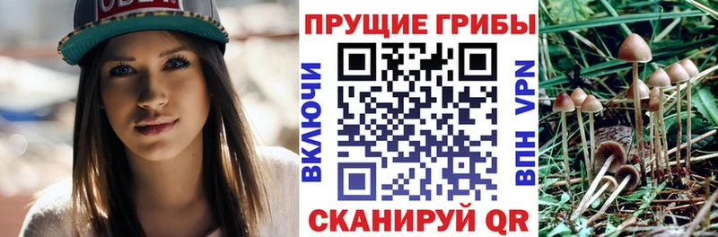 купить наркотики цена  Тутаев  Галлюциногенные грибы Magic Shrooms 